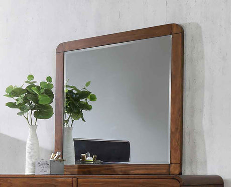Coaster Robyn Dresser Mirror Dark Walnut