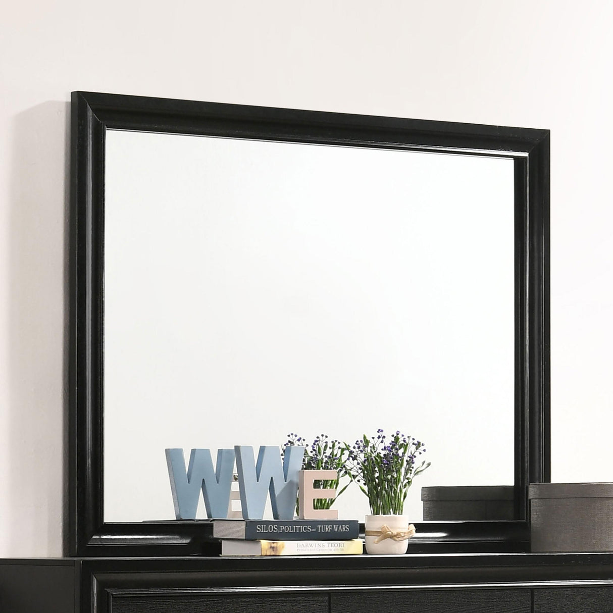 Coaster Miranda Dresser Mirror Black