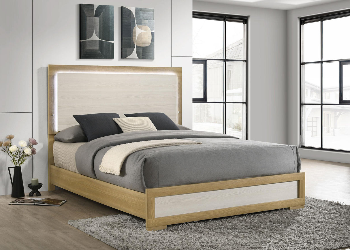 Coaster Hyland Wood Queen LED Panel Bed Natural and White