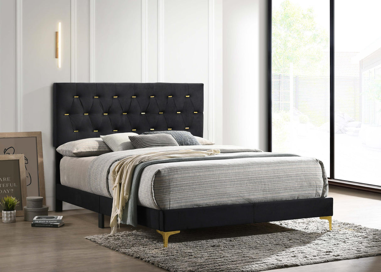 Coaster Kendall Upholstered Eastern King Panel Bed Black