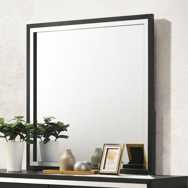 Coaster Lucia Dresser Mirror Black