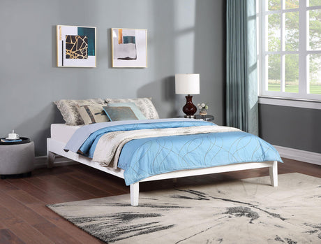 Coaster Hounslow Queen Universal Platform Bed White