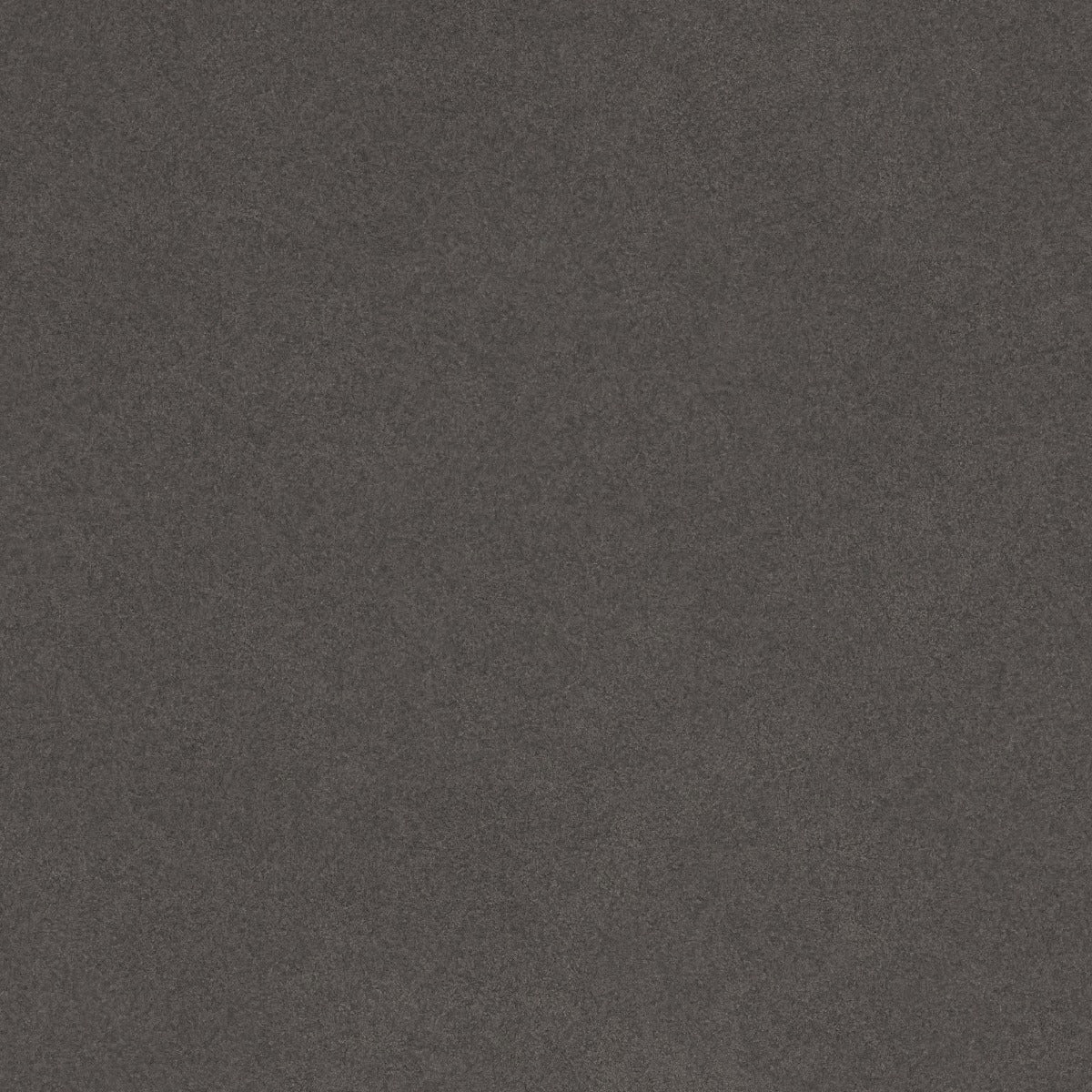 Coral Reef Accent Chair Gray