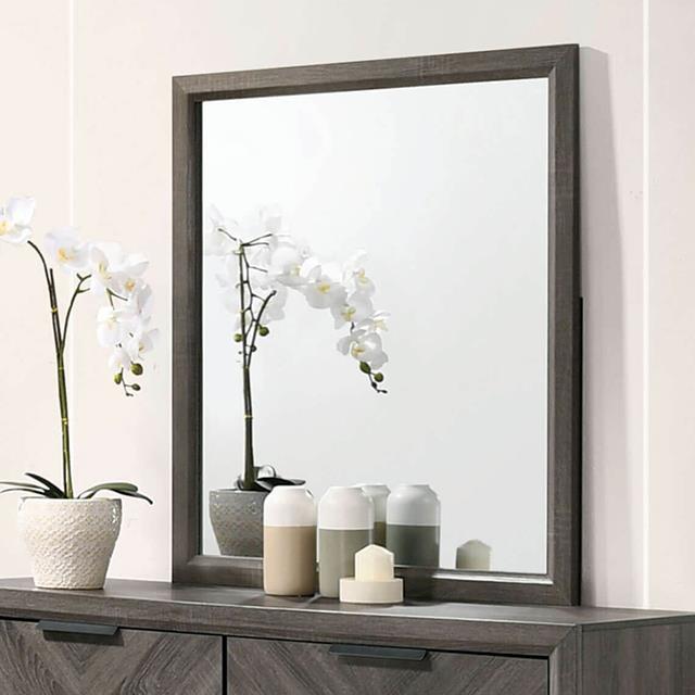 Furniture of America Vagan Mirror