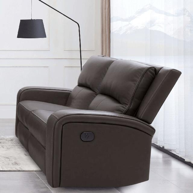 Furniture of America Vasilios Power Loveseat, Gray