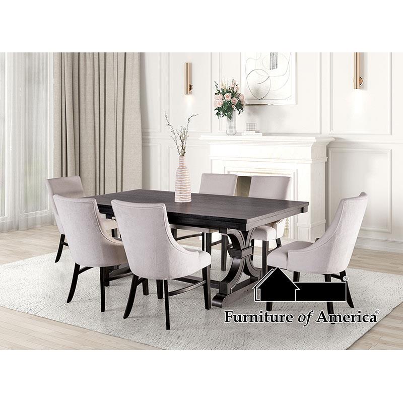 Furniture of America Gosport Arm Chair (2/CTN), Black/Beige