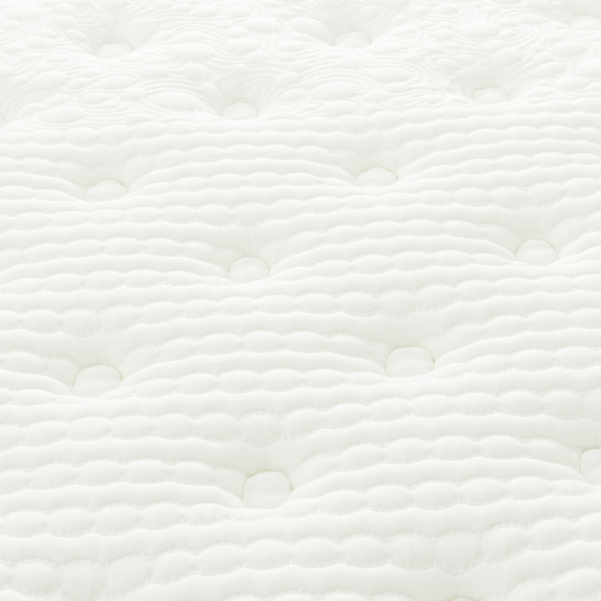 Majesty 12 Inch Plush Mattress