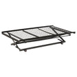 Coaster Eden Metal Twin Pop Up Trundle Bed Black