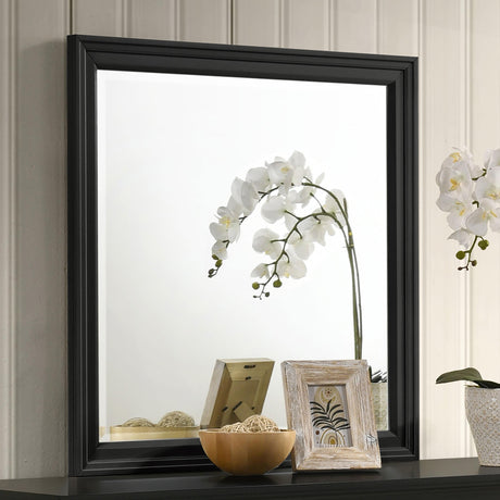 Coaster Sandy Beach Dresser Mirror Black