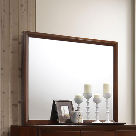 Coaster Serenity Dresser Mirror Rich Merlot