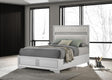 Coaster Miranda 54-inch Upholstered Queen Panel Bed White