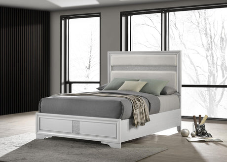 Coaster Miranda 54-inch Upholstered Queen Panel Bed White