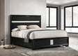 Coaster Miranda 54-inch Upholstered Eastern King Panel Bed Black