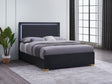 Coaster Marceline Wood Full LED Panel Bed Black