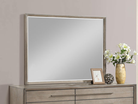 Coaster Durango Dresser Mirror Washed Oak