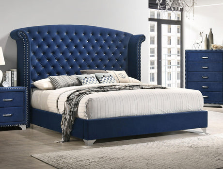 Coaster Melody Upholstered Queen Wingback Bed Pacific Blue