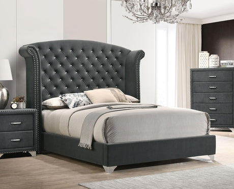 Coaster Melody Upholstered Queen Wingback Bed Grey