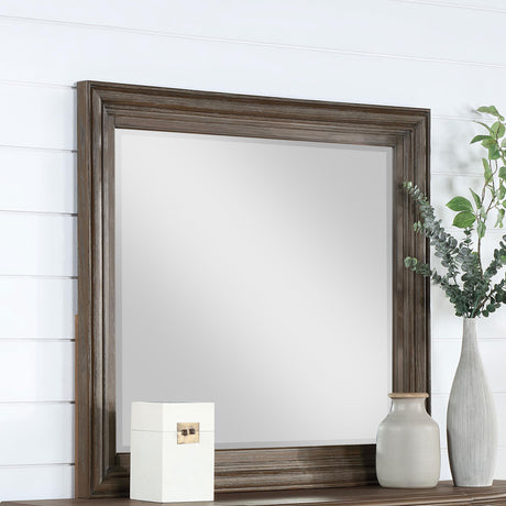 Coaster Emmett Dresser Mirror Walnut