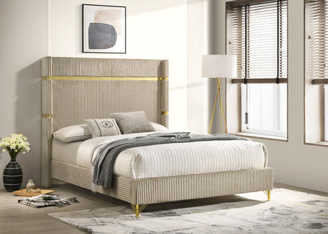 Coaster Lucia 61-inch Upholstered Queen Wingback Bed Beige