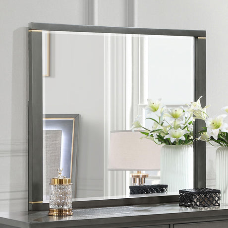 Coaster Kieran Dresser Mirror Grey