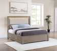 Coaster Kenora 56-inch Eastern King LED Storage Bed Barley Brown