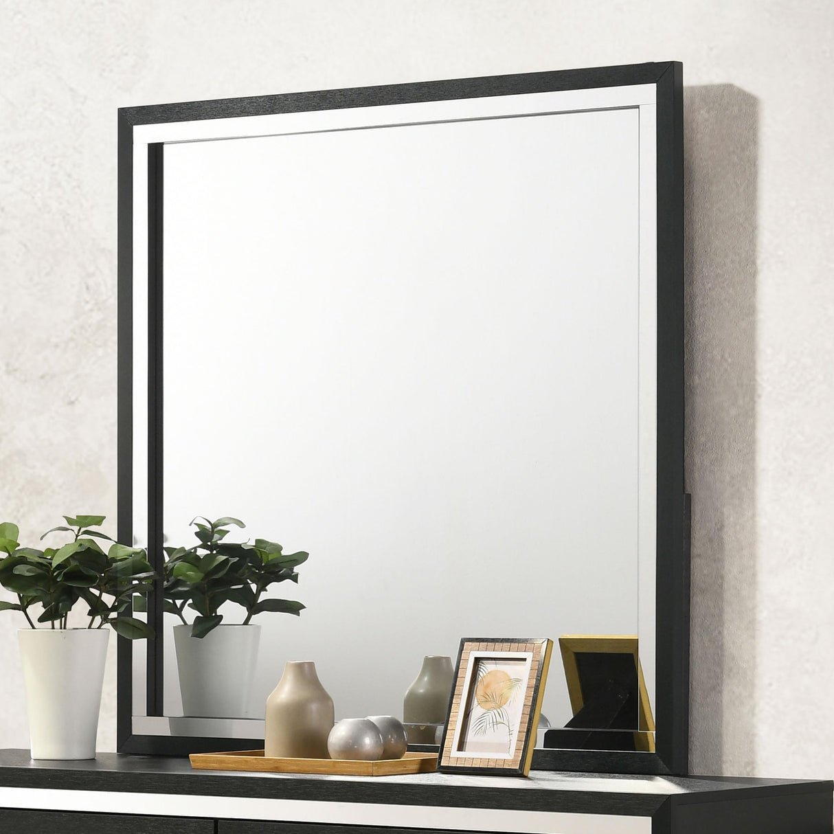 Coaster Lucia Dresser Mirror Black