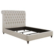Coaster Devon 57-inch Upholstered Eastern King Headboard Beige
