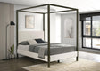 Coaster Monroe Upholstered Queen Canopy Bed Vanilla