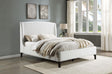 Coaster Mosby Upholstered Queen Wingback Bed Snow