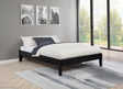 Coaster Hounslow Full Universal Platform Bed Black