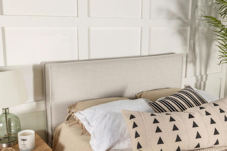 Coaster Izzy Upholstered Queen or Full Panel Headboard Sand
