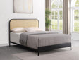 Coaster Amherst Radio Weave Rattan Metal Queen Bed Black