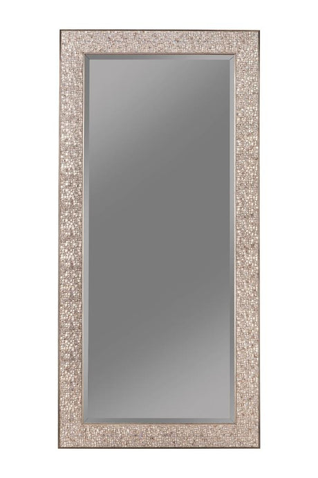 Coaster Rollins 32 x 66 Inch Rectangular Floor Mirror Silver