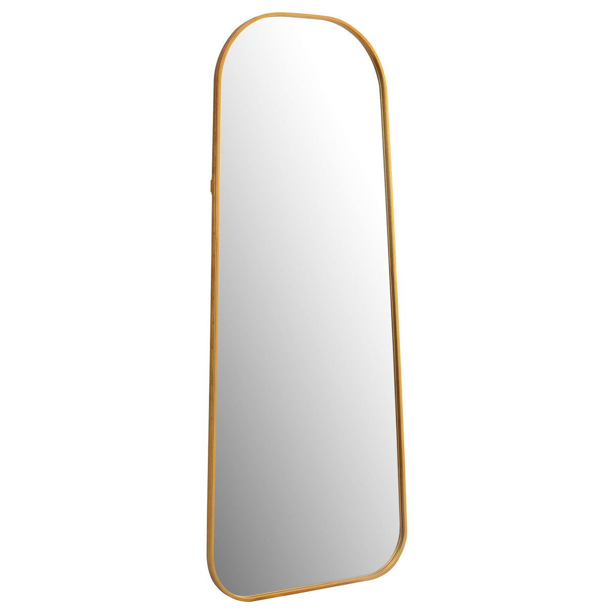 Coaster Simeon 24 x 59 Inch Full Length Floor Mirror Antique Gold