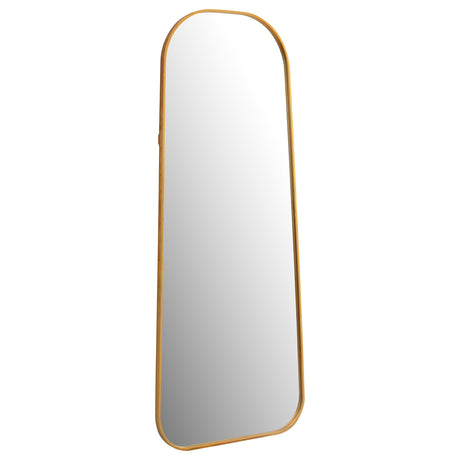 Coaster Simeon 20 x 52 Inch Full Length Floor Mirror Antique Gold