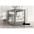 Furniture of America Etherea Queen Bed, Gray