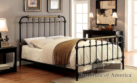 Furniture of America Riana Metal Queen Bed