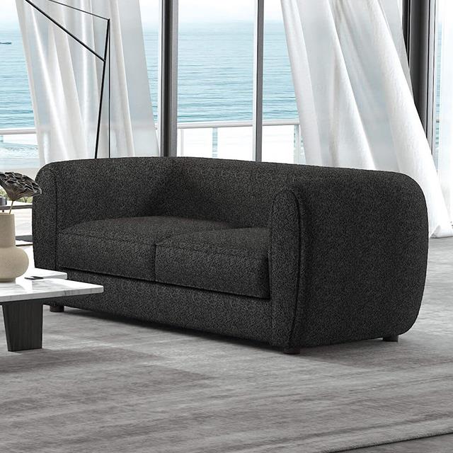 Furniture of America Verdal Loveseat, Black