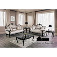 Furniture of America Acapulco Sofa, Black/Off-White