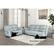 Furniture of America Glarus Loveseat, Powder Blue