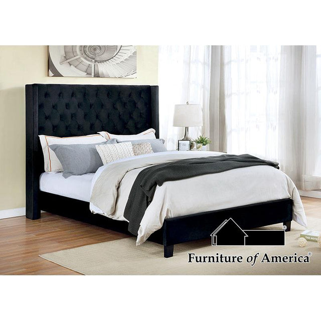 Furniture of America FM7141BK-Q-BED Queen Bed, Black
