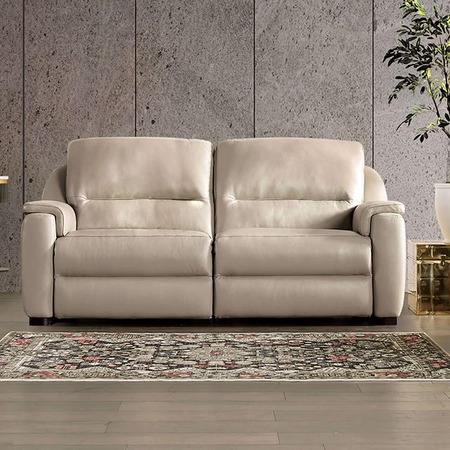 Furniture of America Altamura Power Loveseat, Taupe