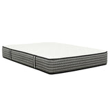 Majesty 12 Inch Plush Mattress